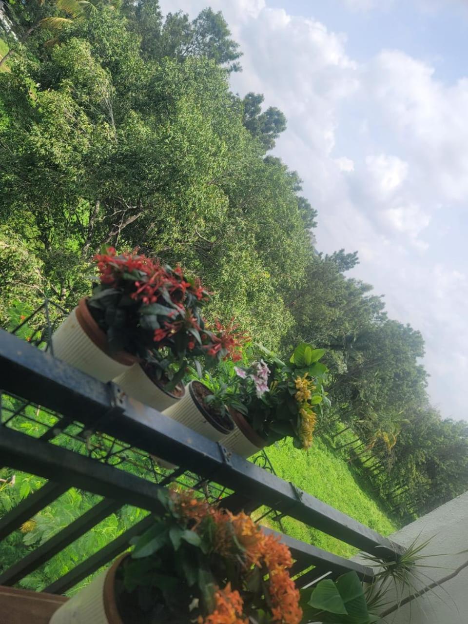 Serene Home Stay Bangalore Luaran gambar